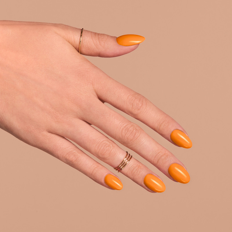 SEMILAC BON VOYAGE 543/Dis